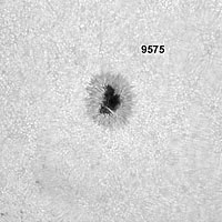 � M. Neuerer; Sonne am 15.08.2001 - Die Aufnahmen sind mit einem 180er TMB Apo (abgeblendet auf 140 mm) gemacht. Als Kamera diente eine Nikon Coolpix 880 Digitalkamera mit 6 mm LV Okular.