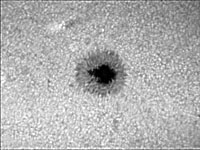 � M. Neuerer; Sonne am 29.06.2001 - Die Aufnahmen sind mit einem 180er TMB Apo (abgeblendet auf 140 mm / schlechtes seeing) gemacht. Als Kamera diente eine Nikon Coolpix 880 Digitalkamera mit 6 mm LV Okular.