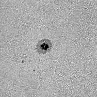 � M. Neuerer; Sonne am 6.07.2001 - Die Aufnahmen sind mit einem 180er TMB Apo (abgeblendet auf 140 mm / schlechtes seeing) gemacht. Als Kamera diente eine Nikon Coolpix 880 Digitalkamera mit 6 mm LV Okular.