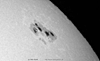 � N. Kloth; Sonnenfleck vom 28.10.2003, 4''-Refraktor, AstroSolar Sonnenfilterfolie + 16 mm Ortho, afokal mit Kodak Digitalkamera DX 3900, Originalausschnitt (1:1) aus dem Vorbild, starke Luftunruhe.