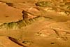 (c)  ESA / DLR / FU Berlin (G. Neukum); Mars Express, Canyongebiet. 19.01.2004