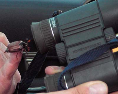 � Detlef K�ster 2005