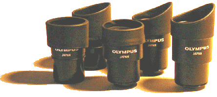 Olympus Okulare